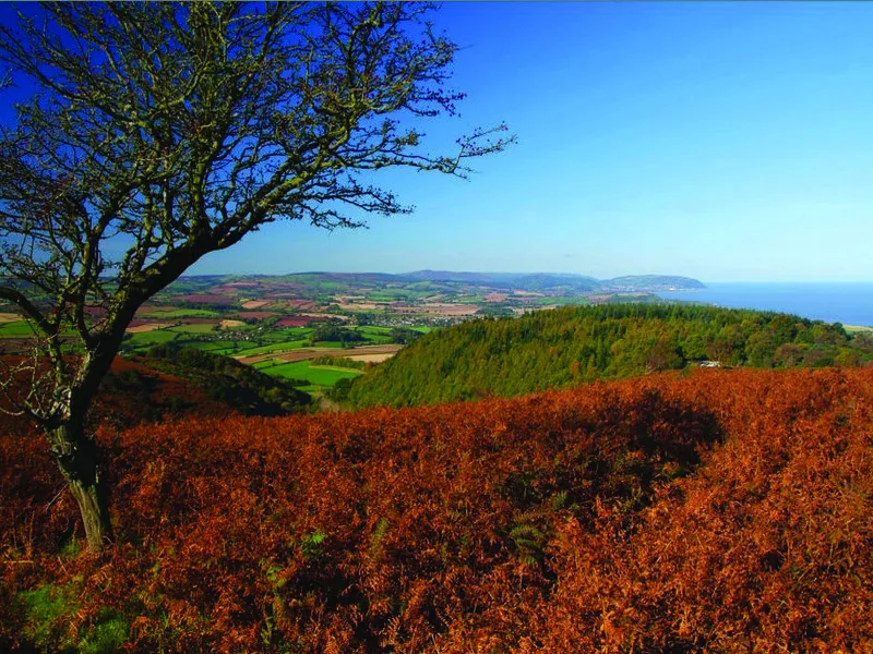 The Quantocks